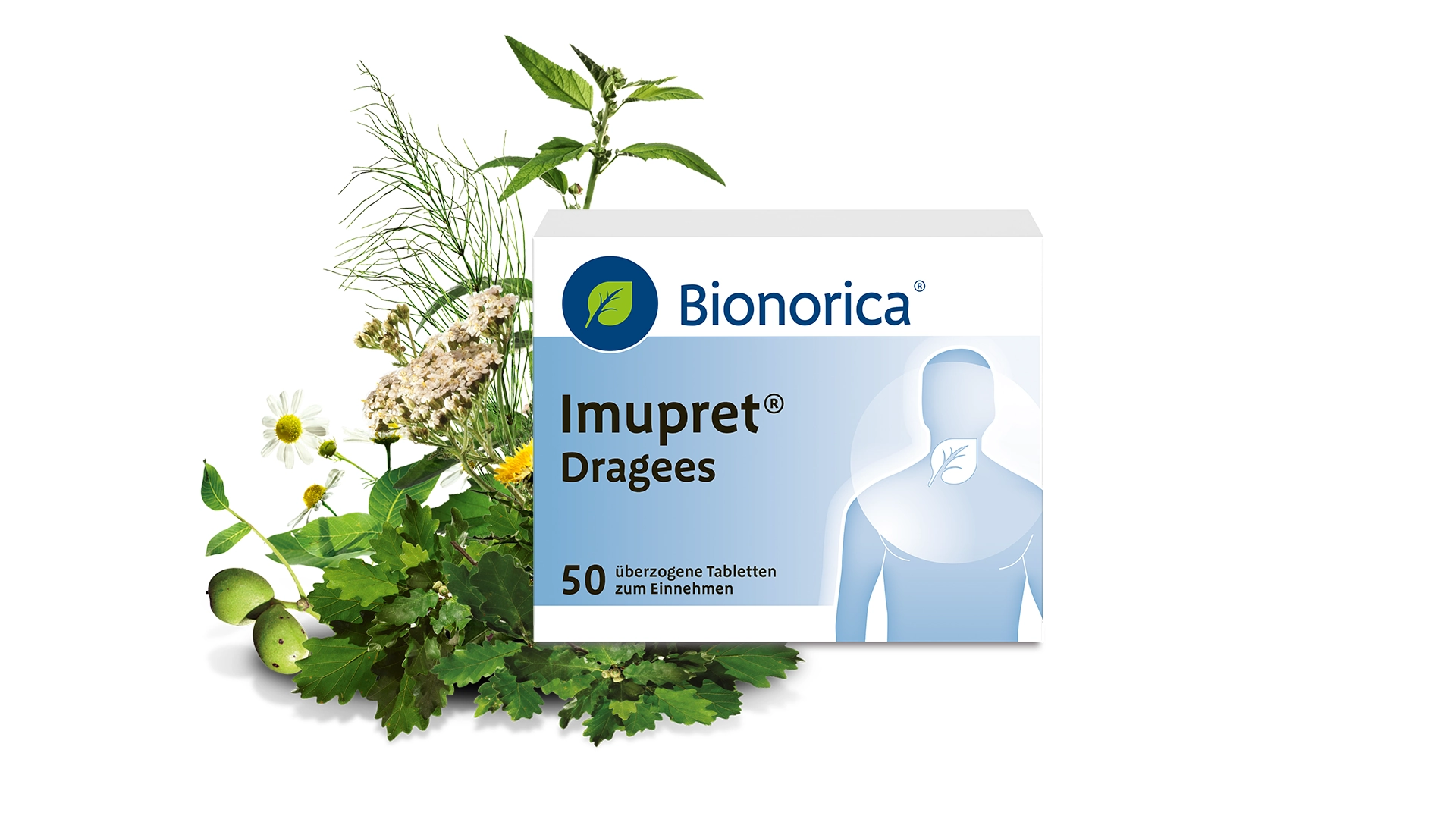 Imupret Packshot mit Pflanzen