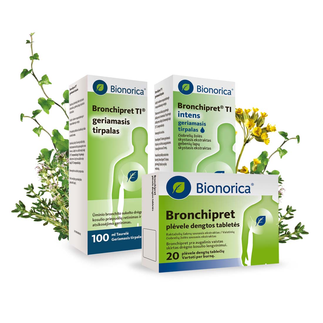 Bronchipret®