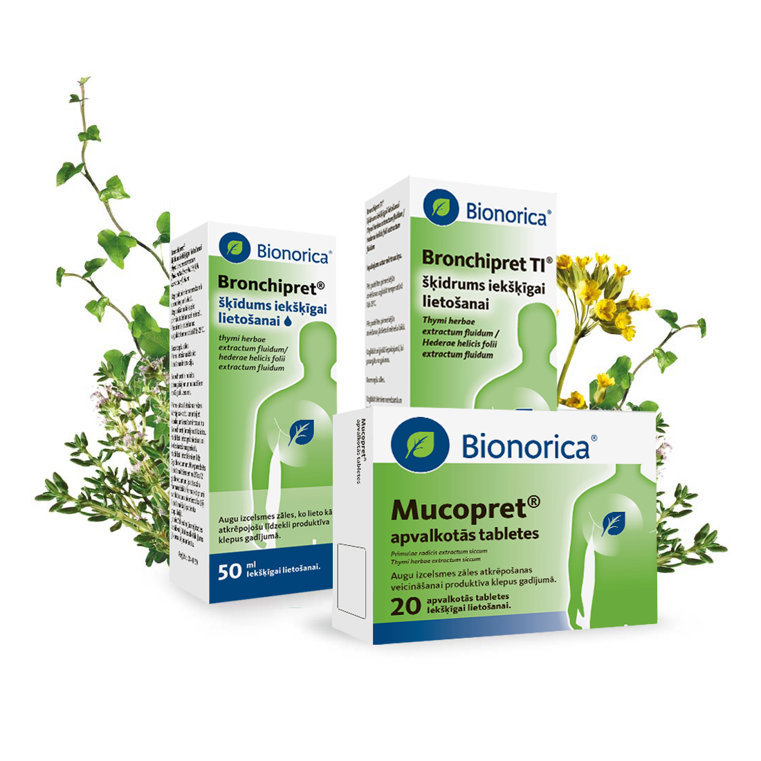 Bronchipret®