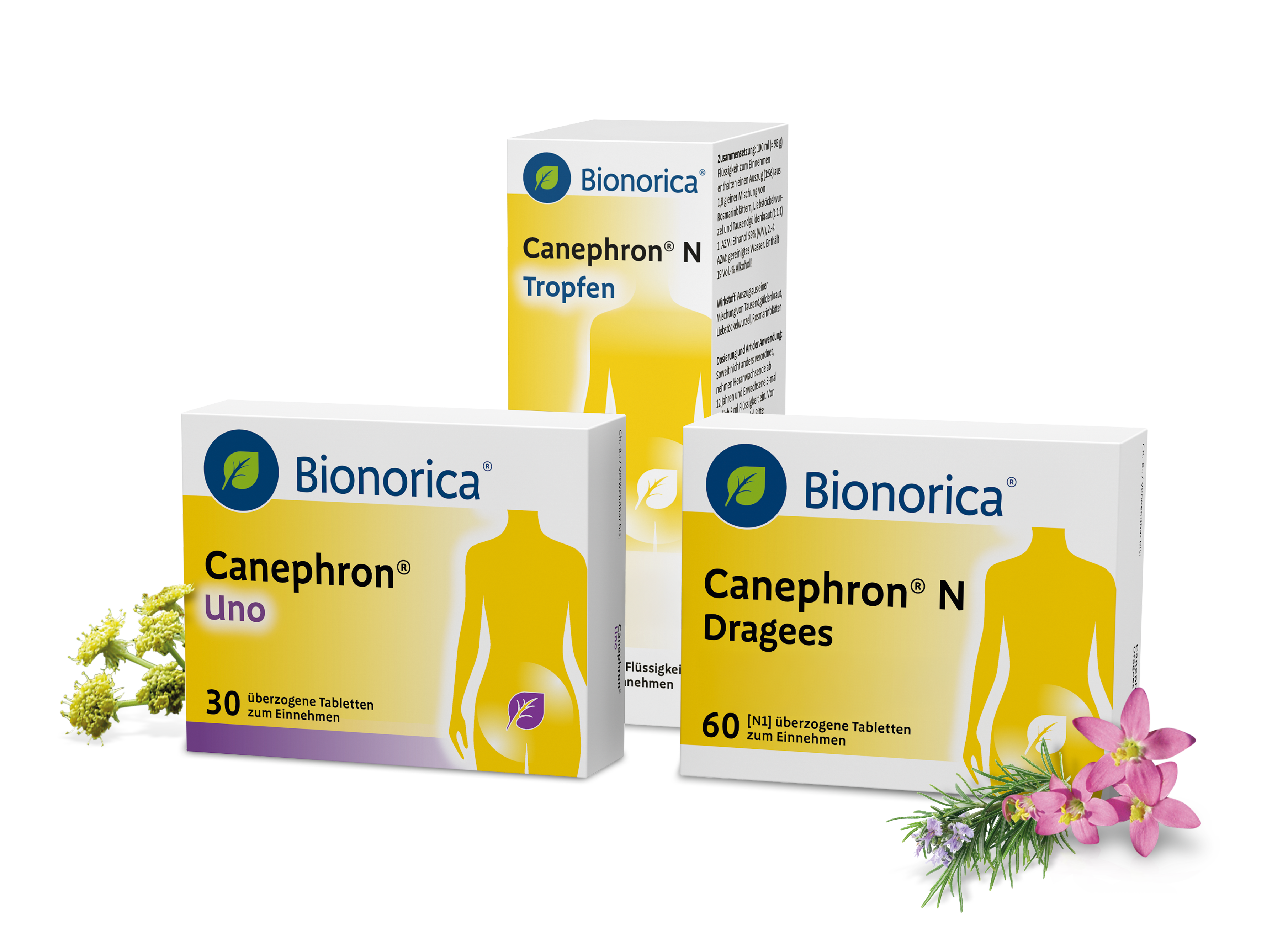 BNO DE: Card Container nicht erstattungsfähige Produkte Canephron Image
