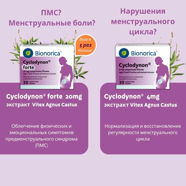 CYC 2 forms