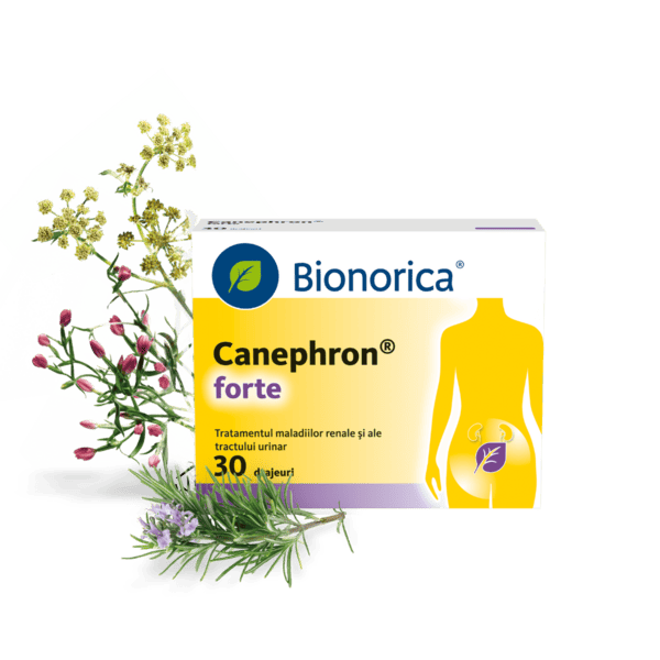 CAN forte product