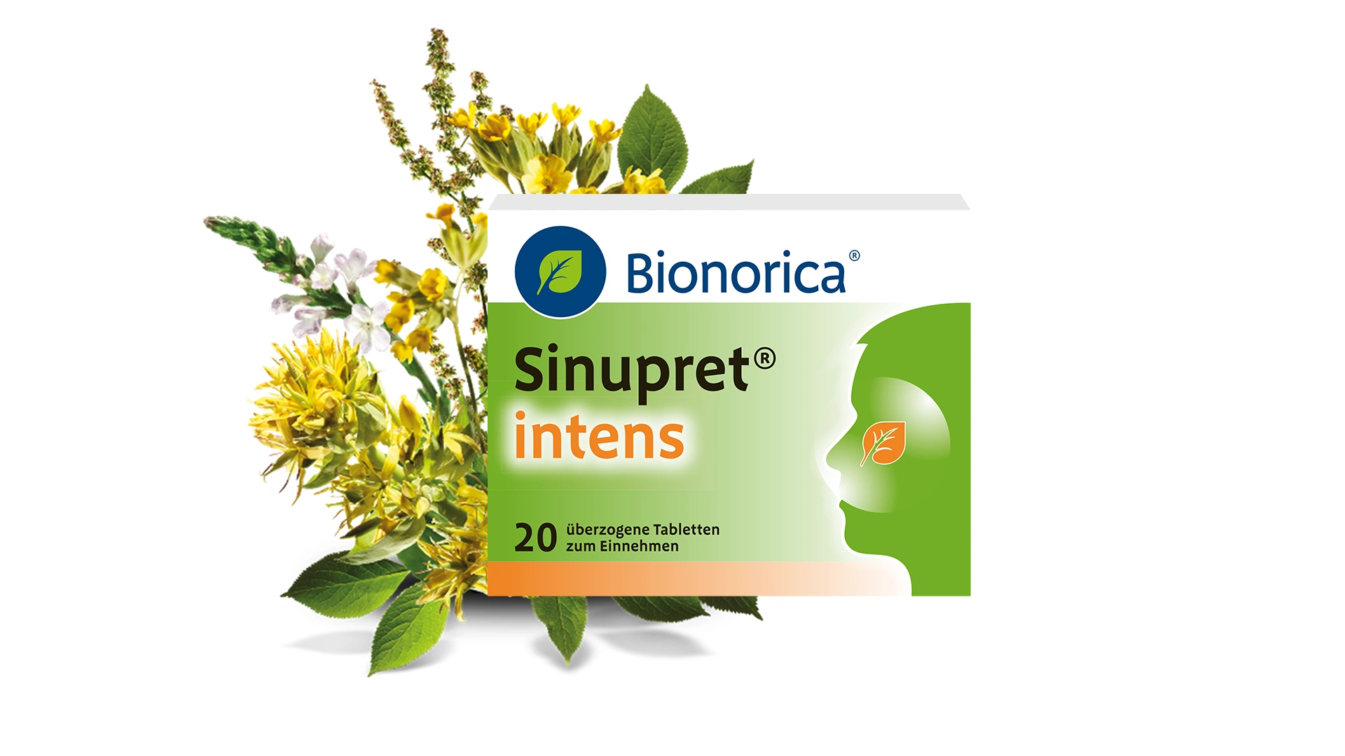 Sinupret intens Packshot mit Pflanzen