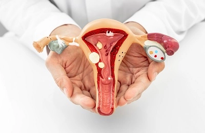sistemul reproductiv feminin