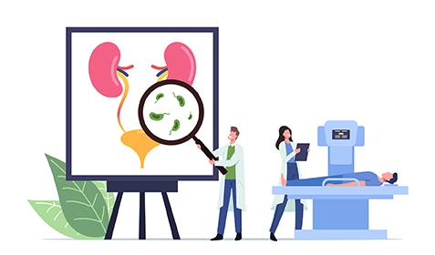 Воспаление почек и цистит: как не вовремя | Канефрон