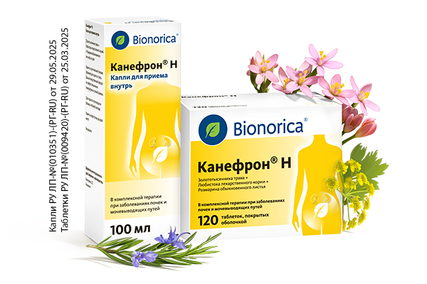 Канефрон® Н