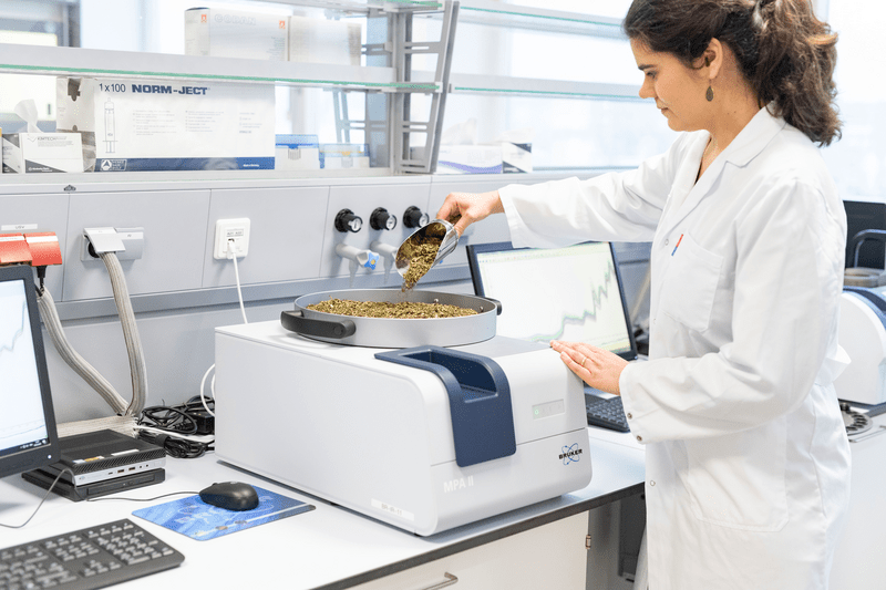 Befüllung des Probenbechers eines Nahinfrarot Standgeräts