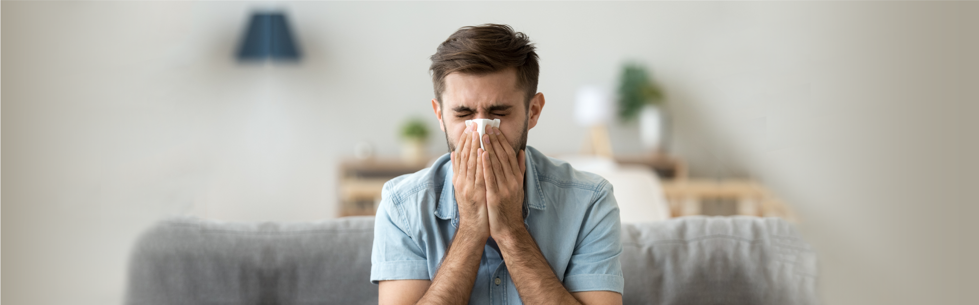 header banner articles