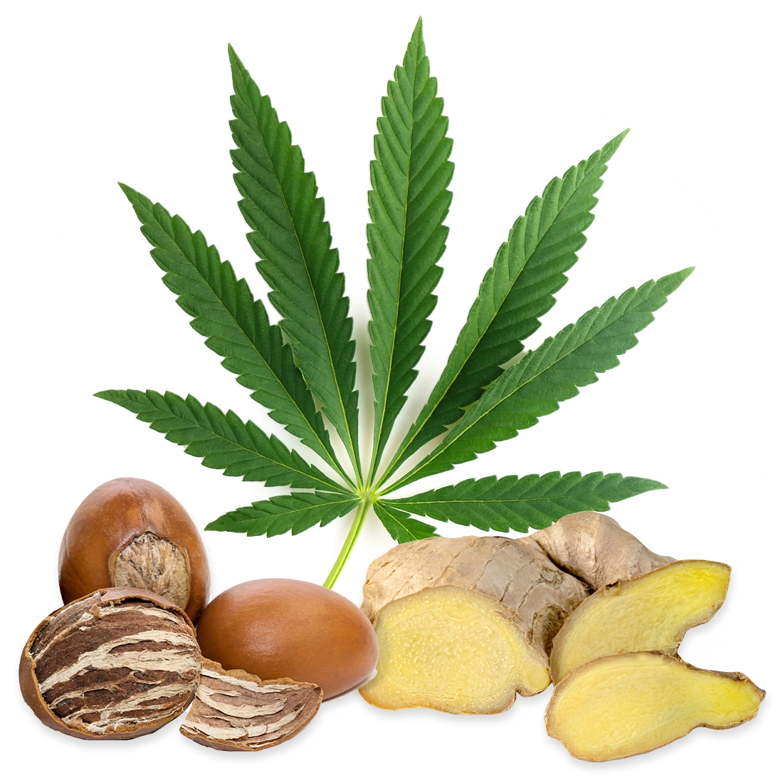 Product-Detail-Intro