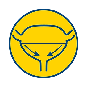 оказывает мягкое мочегонное действие