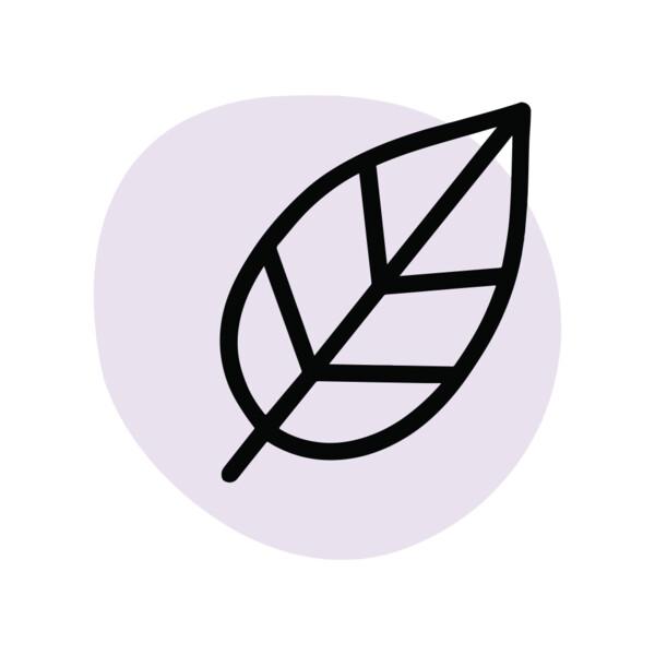 Icon 3