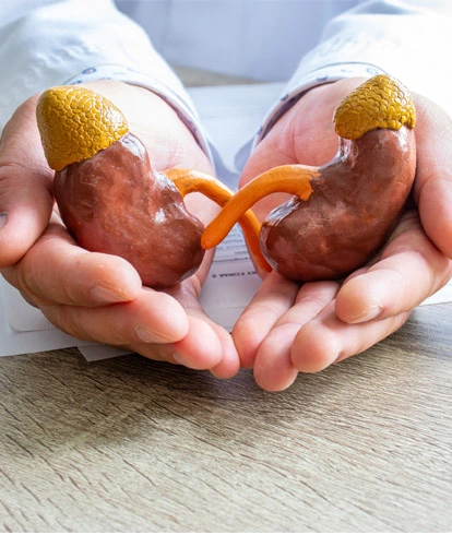 Urīnizvadsistēmas slimību ārstēšana un nierakmeņu slimības profilakse