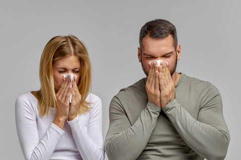 сезон простуд 