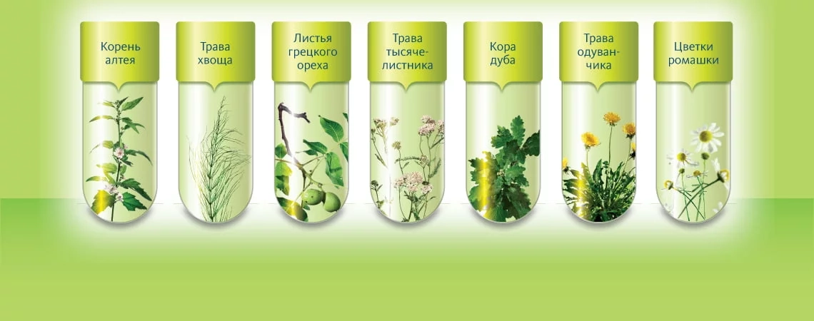 Растительный состав