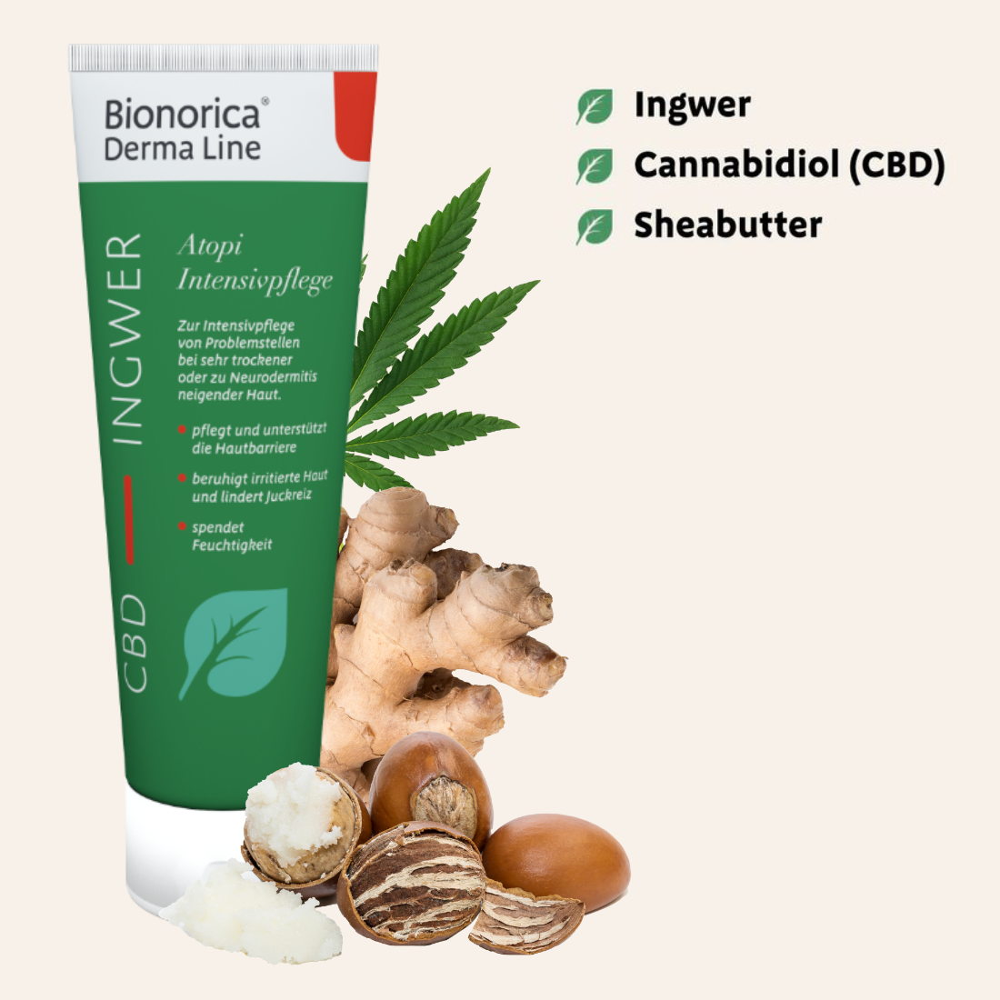 Product-Detail-Gallery-Atopi-03