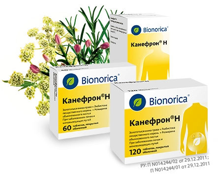 Инструкции по препарату Канефрон® Н