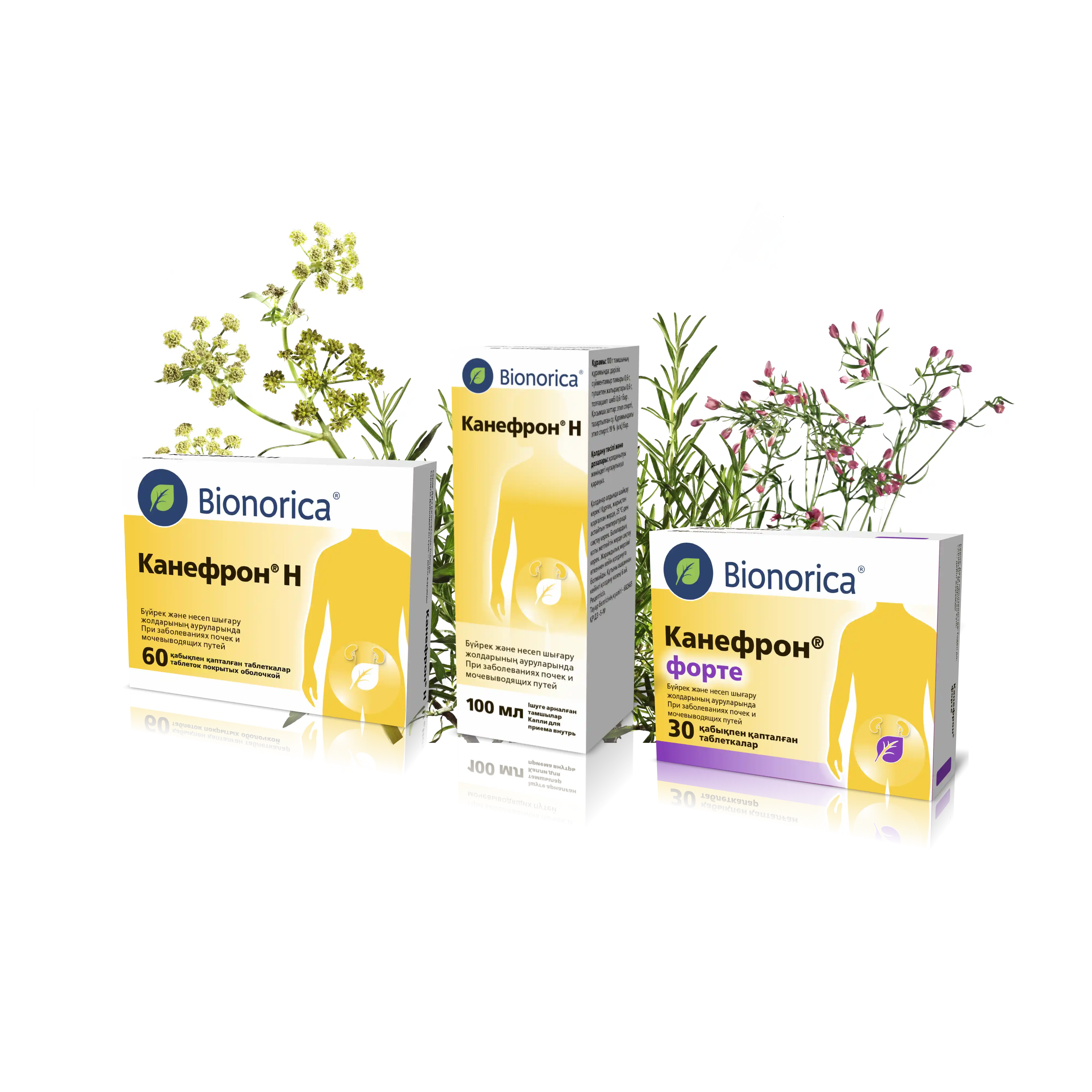 Канефрон Н, Канефрон форте, Канефрон таблетки, Канефрон капли - главная