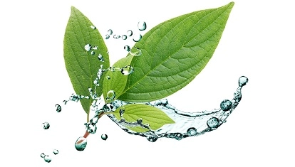 Eficacitatea Sinupret în rinosinuzita la copii