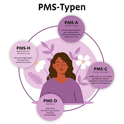 Die Grafik zeigt die unterschiedlichen PMS-Typen A, H, C und D. PMS-A (Anxiety = Angst) äußert sich durch Stimmungschwankungen, Angstgefühle, Nervosität, Reizbarkeit, Aggression, Wut. PMS-H (Hyperhaydration = Überwässerung) äußert sich durch Wassereinlagerungen, Brustspannen und Gewichtszunahme. PMS Typ C (Craving = Verlangen) zeigt sich durch Heißhunger, v.a. auf Süßes, gesteigerter Appetit, Müdigkeit, Kopfschmerzen (menstruelle Migräne) und PMS-D (Depression) äußert sich durch depressive Verstimmung, Weinen, Lethargie, Schlaflosigkeit.