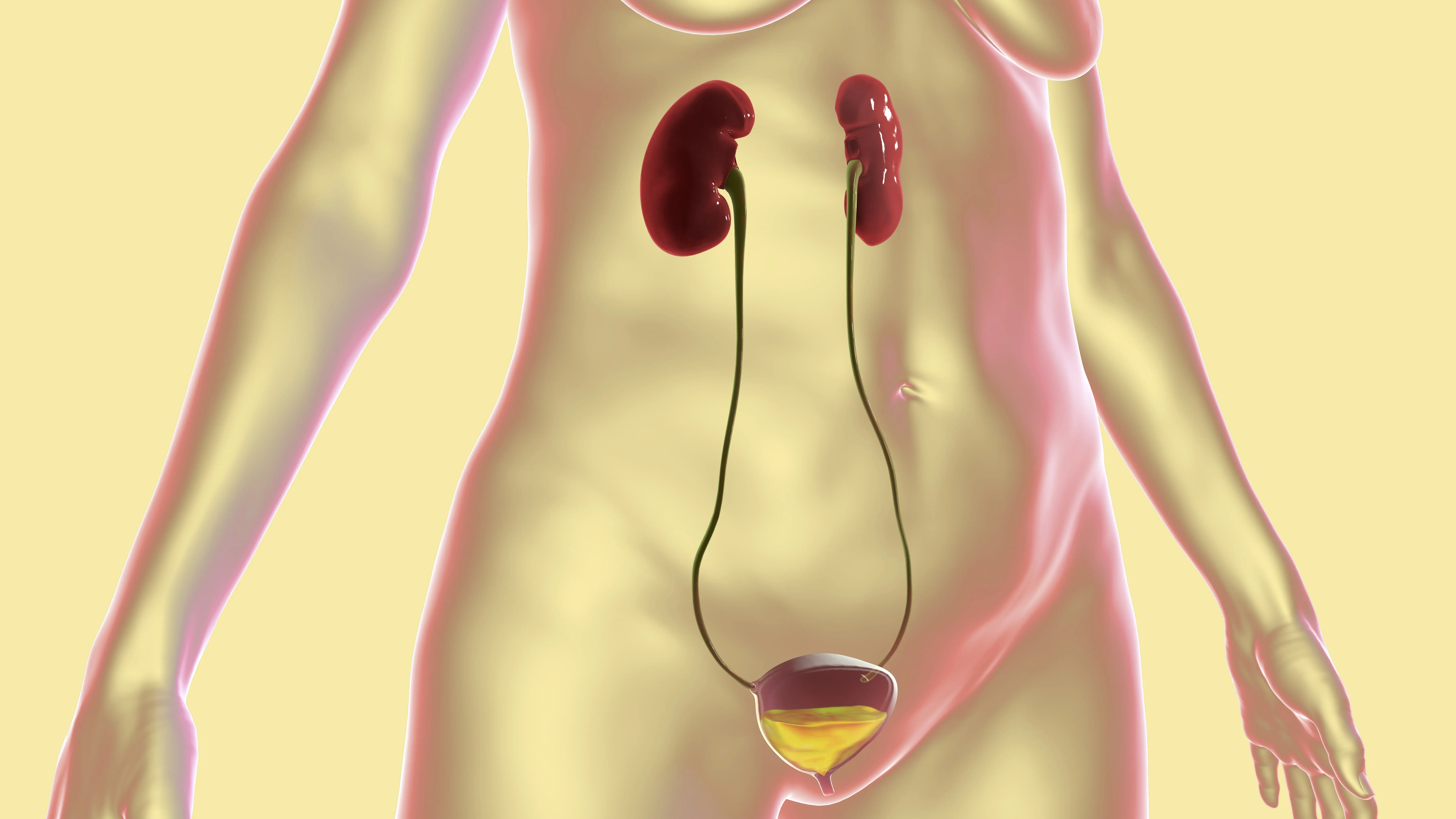 Articol Cistita cronica