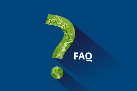 Bild Häufig gestellte Fragen