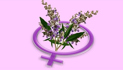 Fructul castității