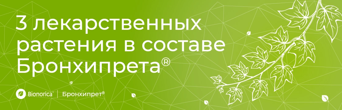 3 лекарственных растения в составе Бронхипрета<sup>®</sup>