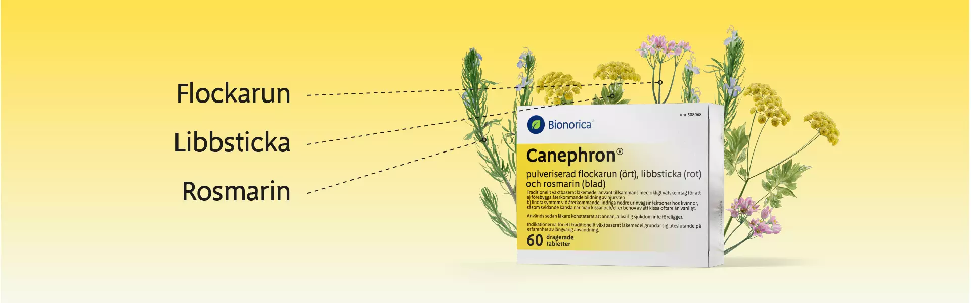 Hur-verkar-Canephron