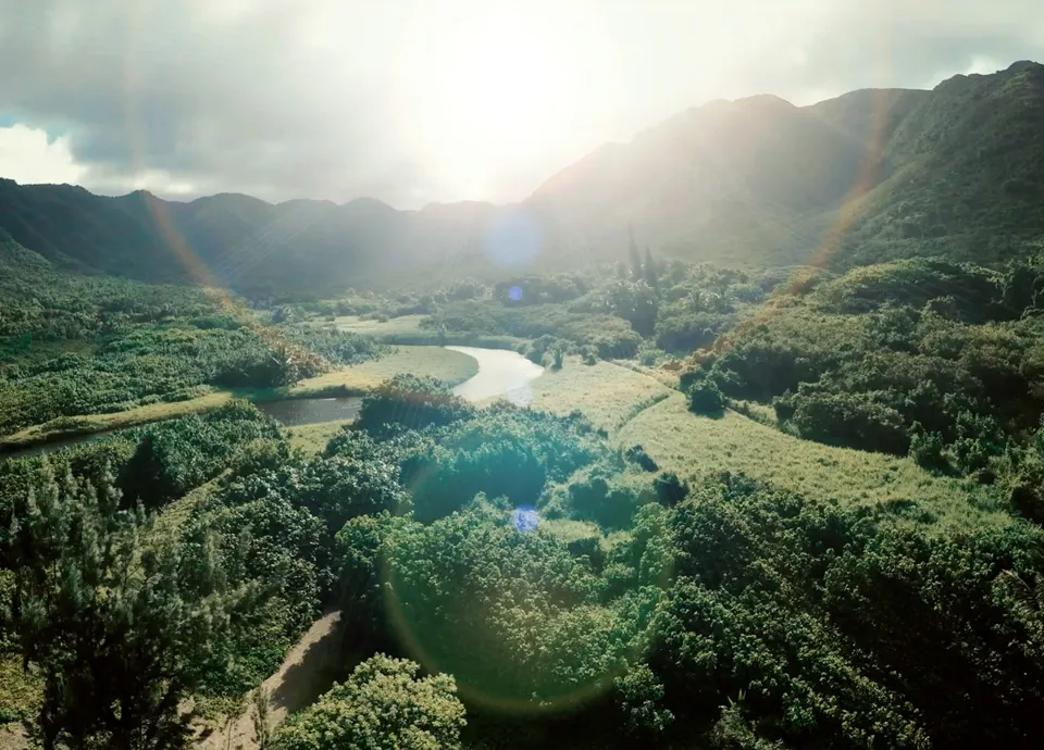 Val av växtplats är avgörande