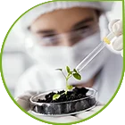 Натуральные растительные препараты