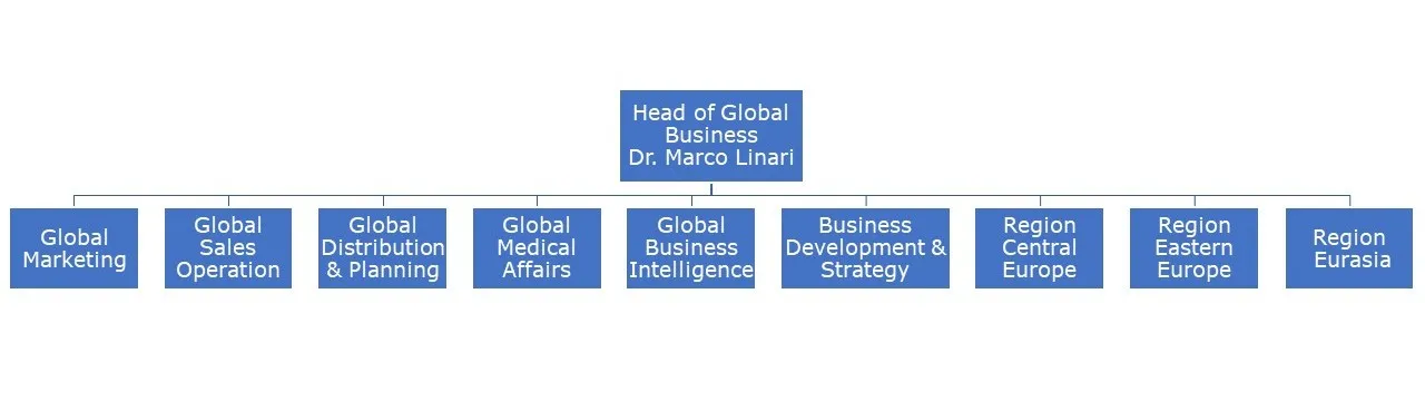 Organisational Structure of the Head of Global Business's department