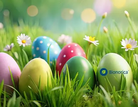 Bunte Ostereier liegen in einer frischen grünen Wiese