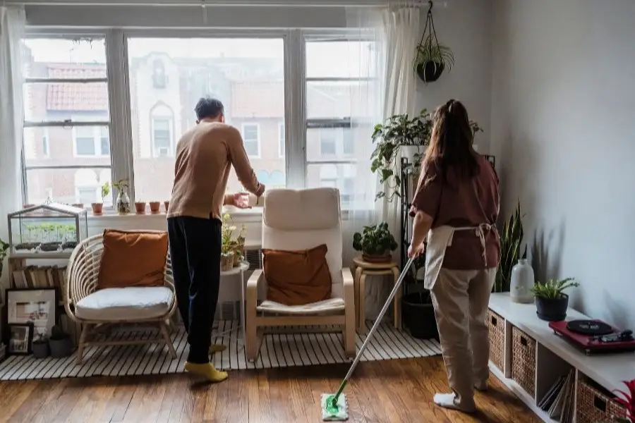 Поддержание чистоты дома