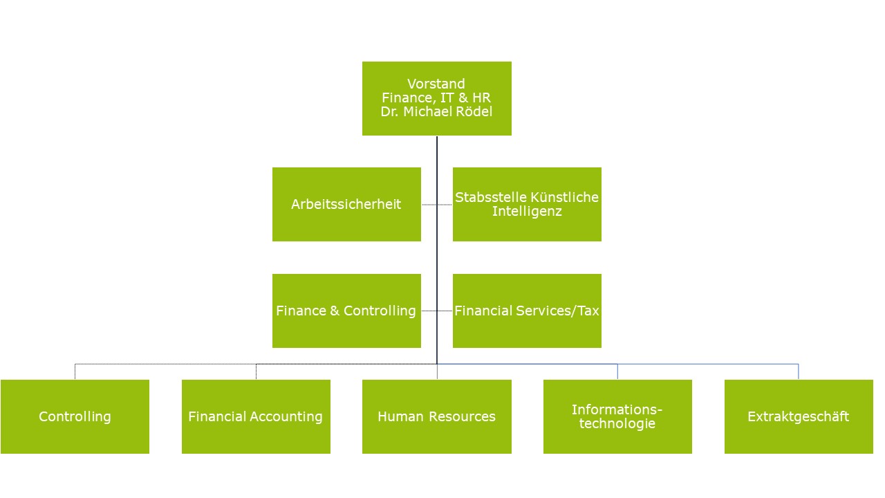 Organisationsstruktur Vorstand Finance