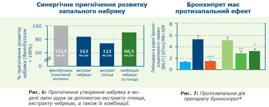 Бронхипрет має   протизапальний ефект