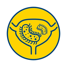 Борется с микробами, препятствует прикреплению бактерий к стенке мочевого пузыря