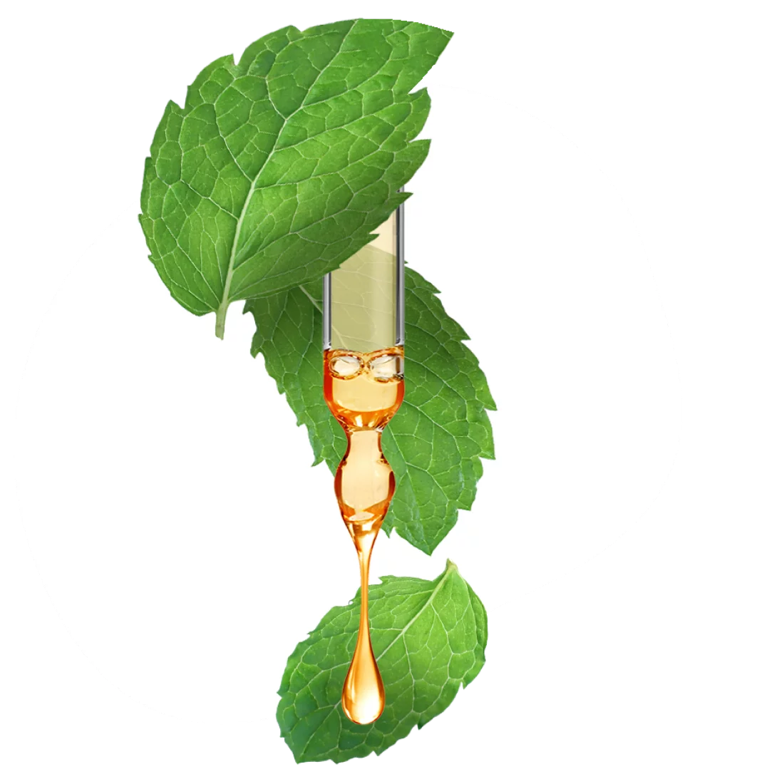 Ingredients-Teaser-Peppermint_Inhaltsstoffe-Teaser-Pfefferminz