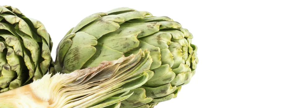 artischocke
