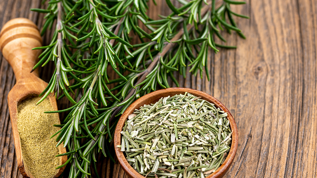Rosmarin är en välkänd krydda med en rad hälsoeffekter