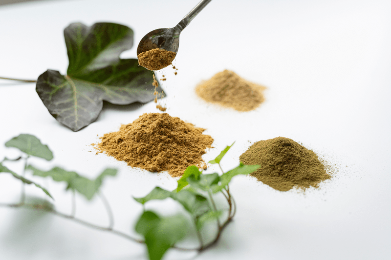 Arzneipflanzen vor und nach der Pulverisierung