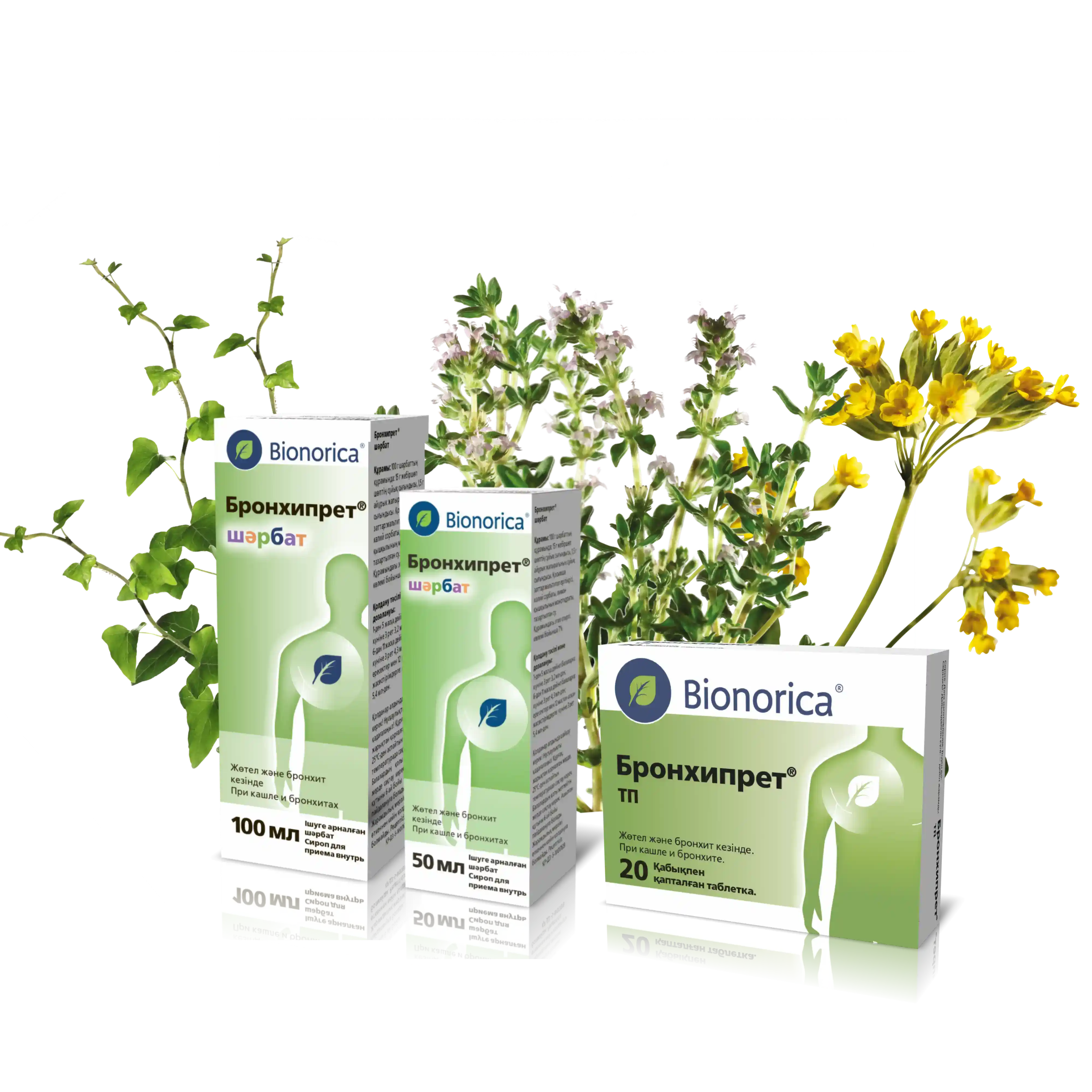 Бронхипрет, Бронхипрет таблетки, Бронхипрет сироп