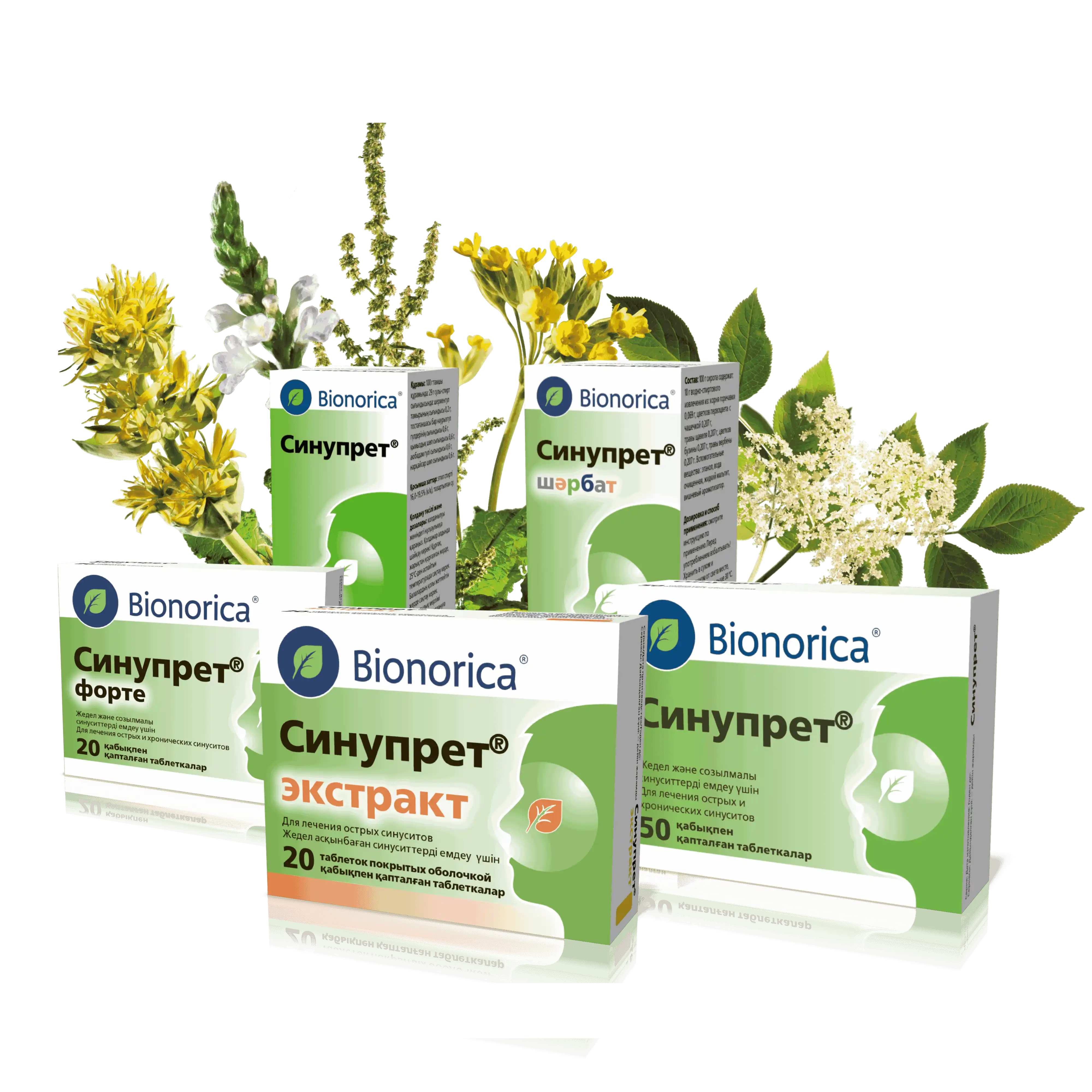 Синупрет, Синупрет экстракт, Синупрет форте, Синупрет капли, Синупрет сироп