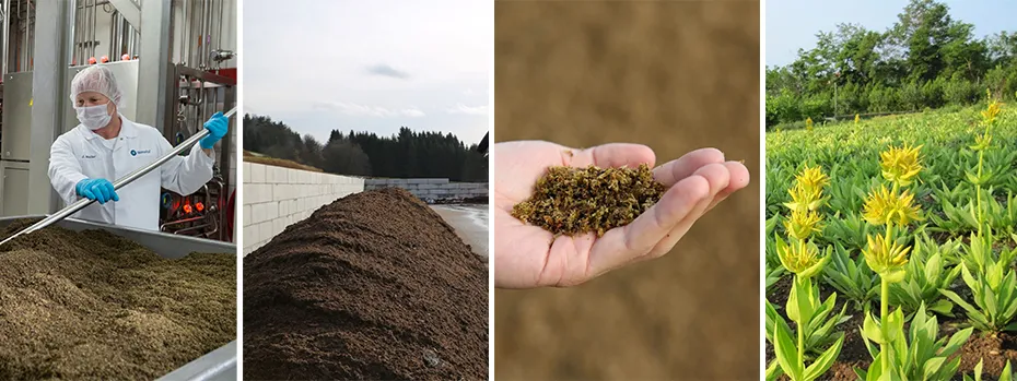 Bionorica hat einen nachhaltigen Herstellungszyklus im Einklang mit der Natur geschaffen.