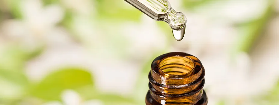 Die getrocknete Wurzel des Liebstöckels enthält viele ätherische Öle.