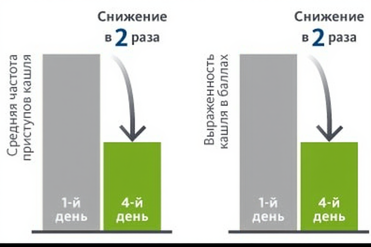 Бронхипрет® - diagram 1
