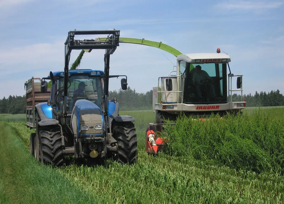 När är det dags att skörda