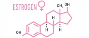 естроген