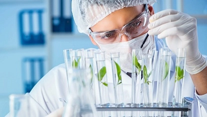 Фитониринг 