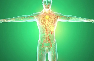 IMU MD: Imunitatea - cum funcționează