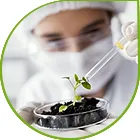 IMG - Натуральные растительные препараты